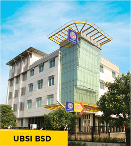 UBSI BSD